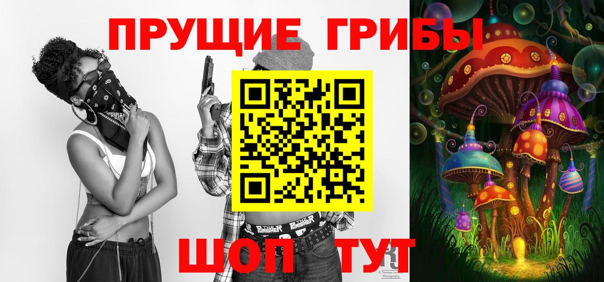 Галлюциногенные грибы GOLDEN TEACHER Вышний Волочёк