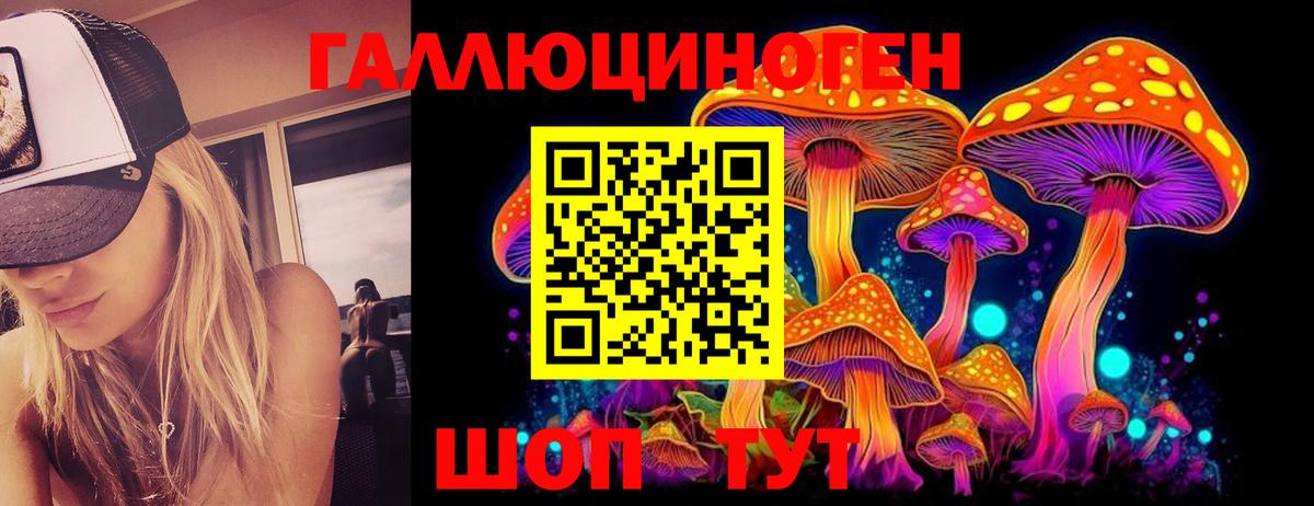 магазин продажи   Вход с VPN  Вышний Волочёк  Галлюциногенные грибы GOLDEN TEACHER 