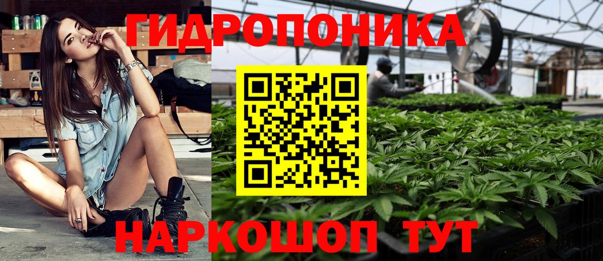 Бошки марихуана гибрид  Конопля индика  Вход с VPN  Вышний Волочёк 